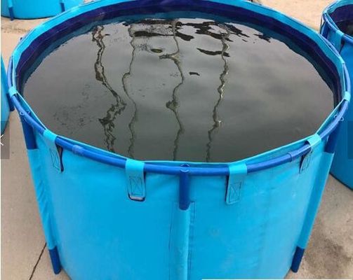 Tanque de armazenamento da água do aquário da piscicultura, cilindro azul acima do aquário dobrável da lagoa de peixes à terra