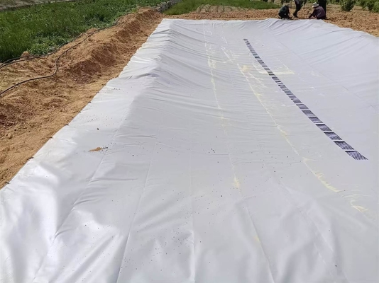 Boiada de recolha de águas pluviais agrícolas dobrável de lona de PVC