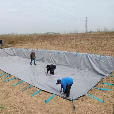 Boiada de recolha de águas pluviais agrícolas dobrável de lona de PVC