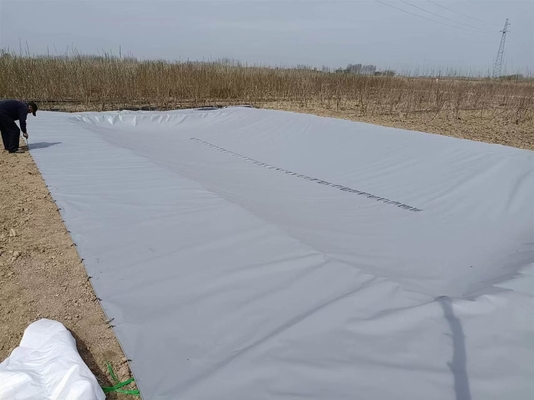 Boiada de recolha de águas pluviais agrícolas dobrável de lona de PVC