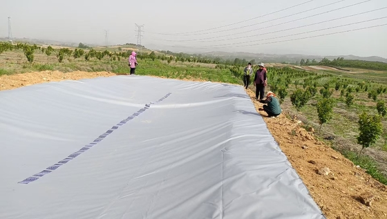 Recolha de água da chuva em estufas de PVC Tanque de armazenamento de água para irrigação agrícola