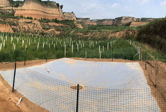 Tanque de recolha de águas pluviais de lona de PVC ecológico para agricultura