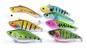 4 mar bicudo longo plástico Bass Wild Fishing do Cyprinus das atrações 11.50G 6.60cm