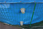 50000 do PVC de encerado litros dobráveis de lagoa de peixes com malha de aço