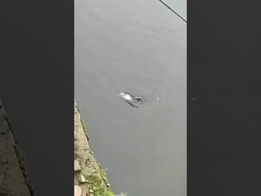 Isca de pesca isca de natação falsa mar e água doce