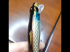 Iscas de plástico Pesca marítima arremesso longo isca dura