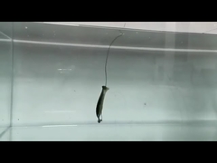 PVC Loach Mágico isco de silicone Falso Mágico isco de pesca isco