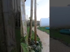 Quarto de hotel Casa ao ar livre Tenda de bolhas inflável